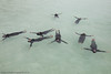 The mothers' class practise floating on their backs in the Soneva Learn-To-Swim programme
