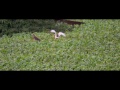 2013 SLOW LIFE Symposium Highlights Film