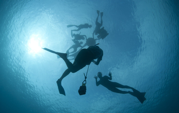 ocean_awareness_exchange